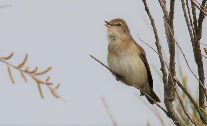 ENS du Bout du Monde